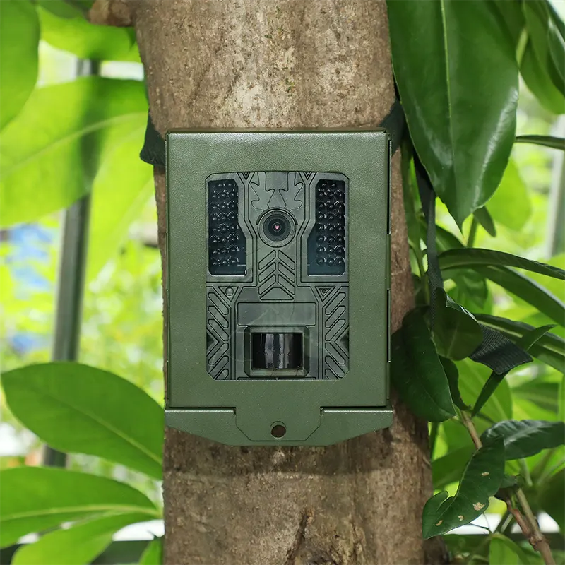 ¿Por qué los cazadores se actualizan a las cámaras 4K Trail esta temporada?
